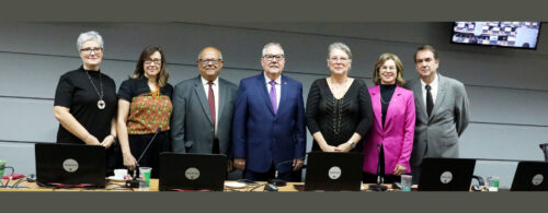 mesa diretiva do consu